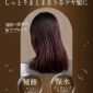 moist diane 香水貴油深層修護洗髮露 1l